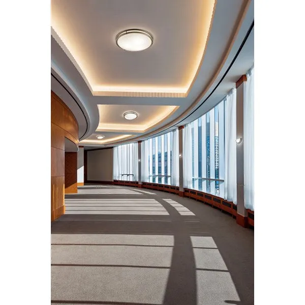 12 in. LED Wall Light