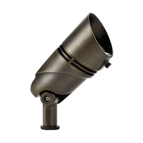 12V Landscape Accent Spot Light 15 Degree 2700K Centennial Brass