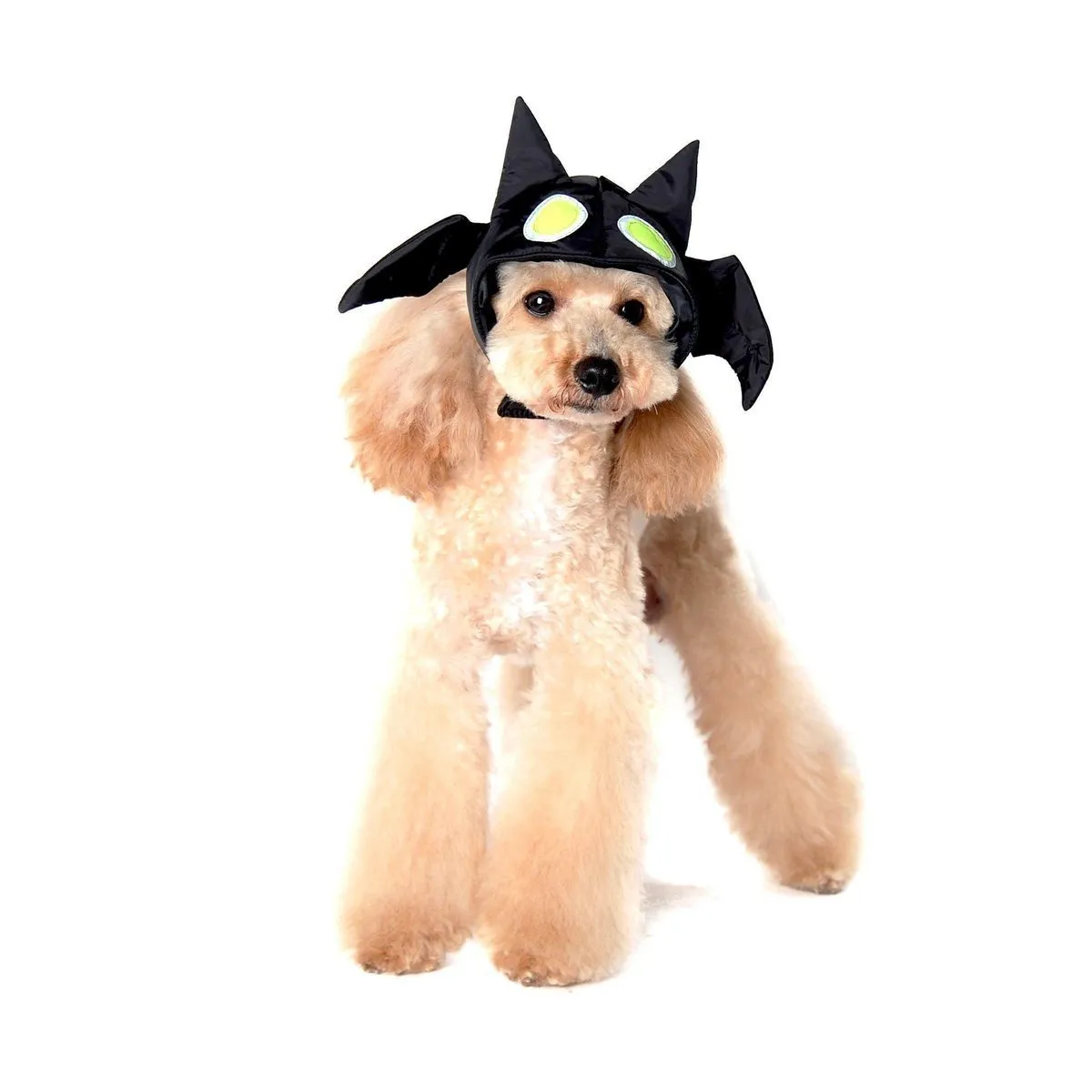 Bat Dog Hat