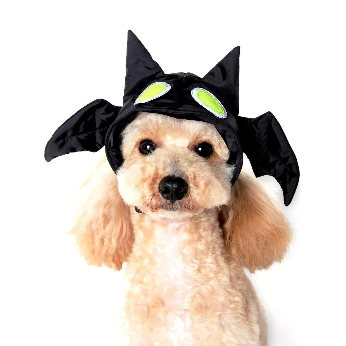 Bat Dog Hat