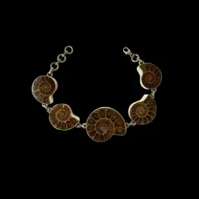 Brown Shell Inspired Bracelet