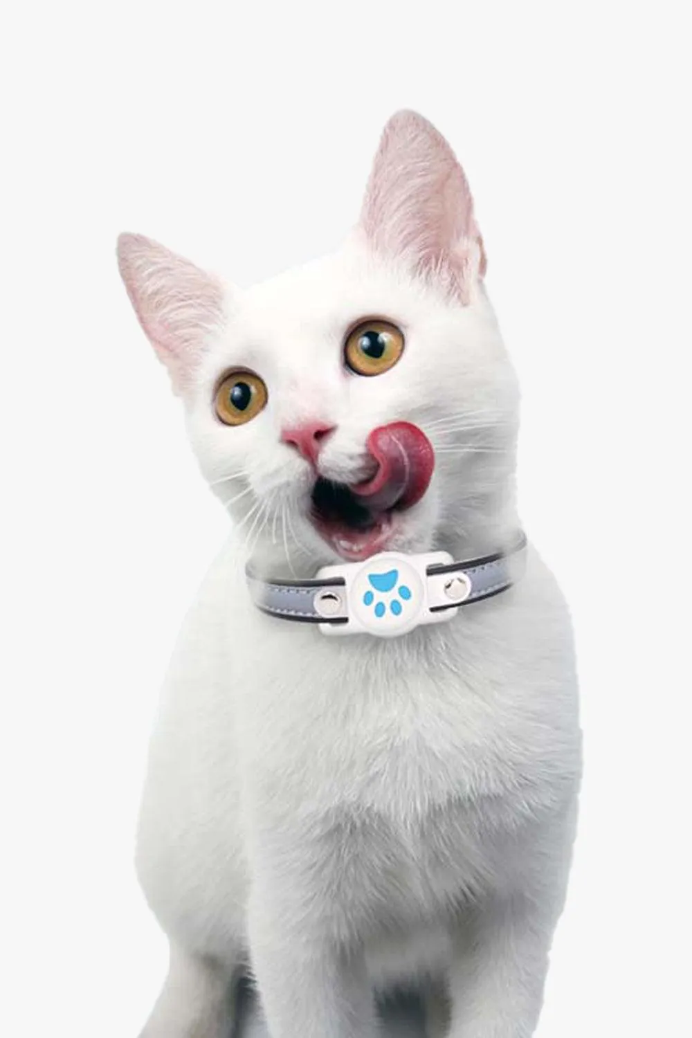 Cute Paw Airtag Pet Tracking Collar