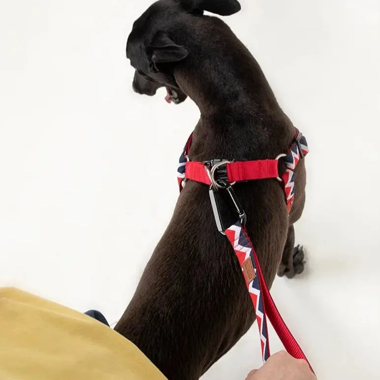 HiDream® | Rainbow Collection Extra Strength Dog Leash Extension