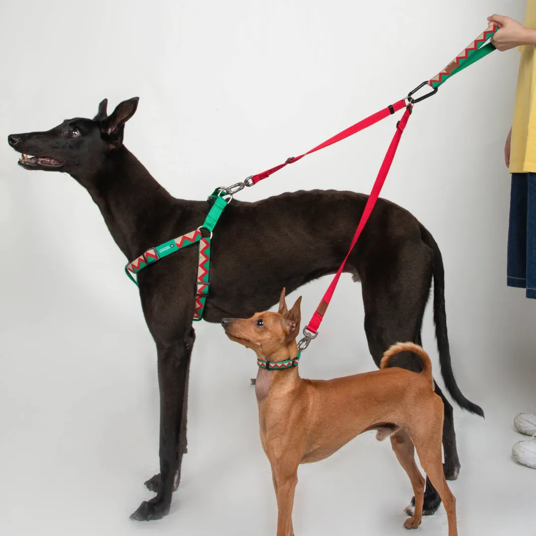 HiDream® | Rainbow Collection Extra Strength Dog Leash Extension
