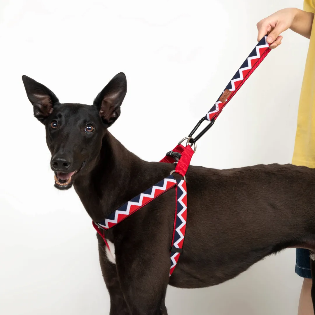 HiDream® | Rainbow Collection Extra Strength Dog Leash Extension