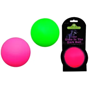 Pets That Play Glow In The Dark Large Ball